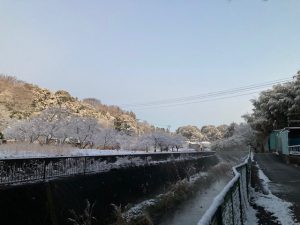 目久尻川と森林地区の雪化粧