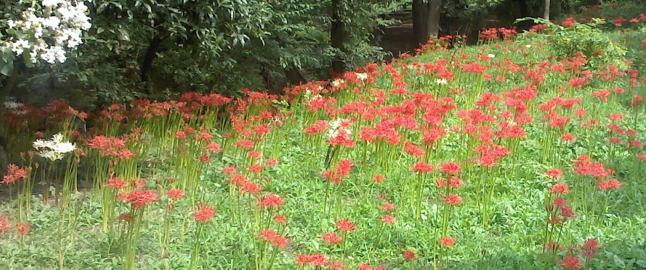 Picture091914_131229