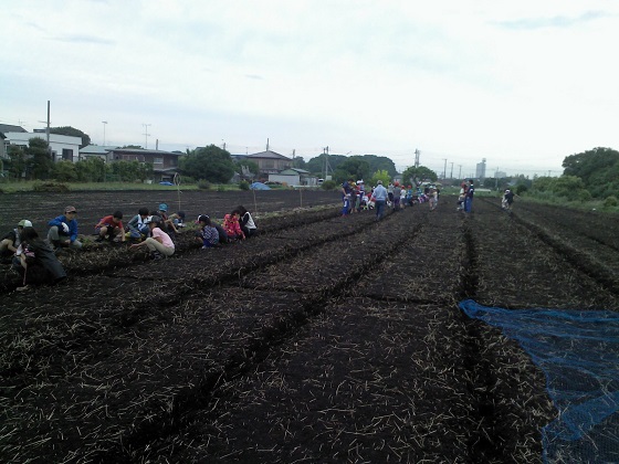 Picture051915_110730