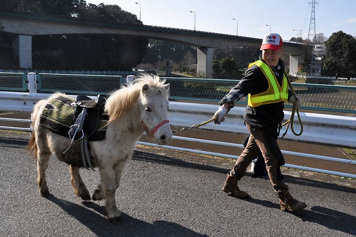 1622213_740075702790347_3245545490388937730_n