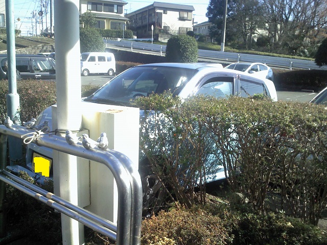 Picture122915_123444