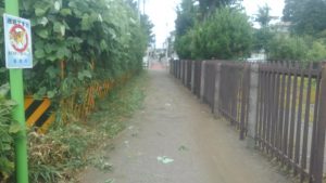 刈取り作業後の通学路