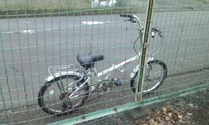 picture111016_134236