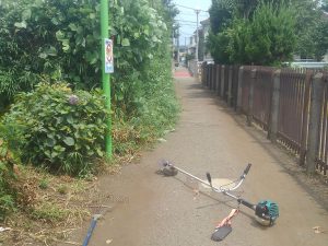 通学路にのびる民間地からの雑草