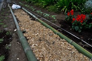 ストリートガーデン 竹の道